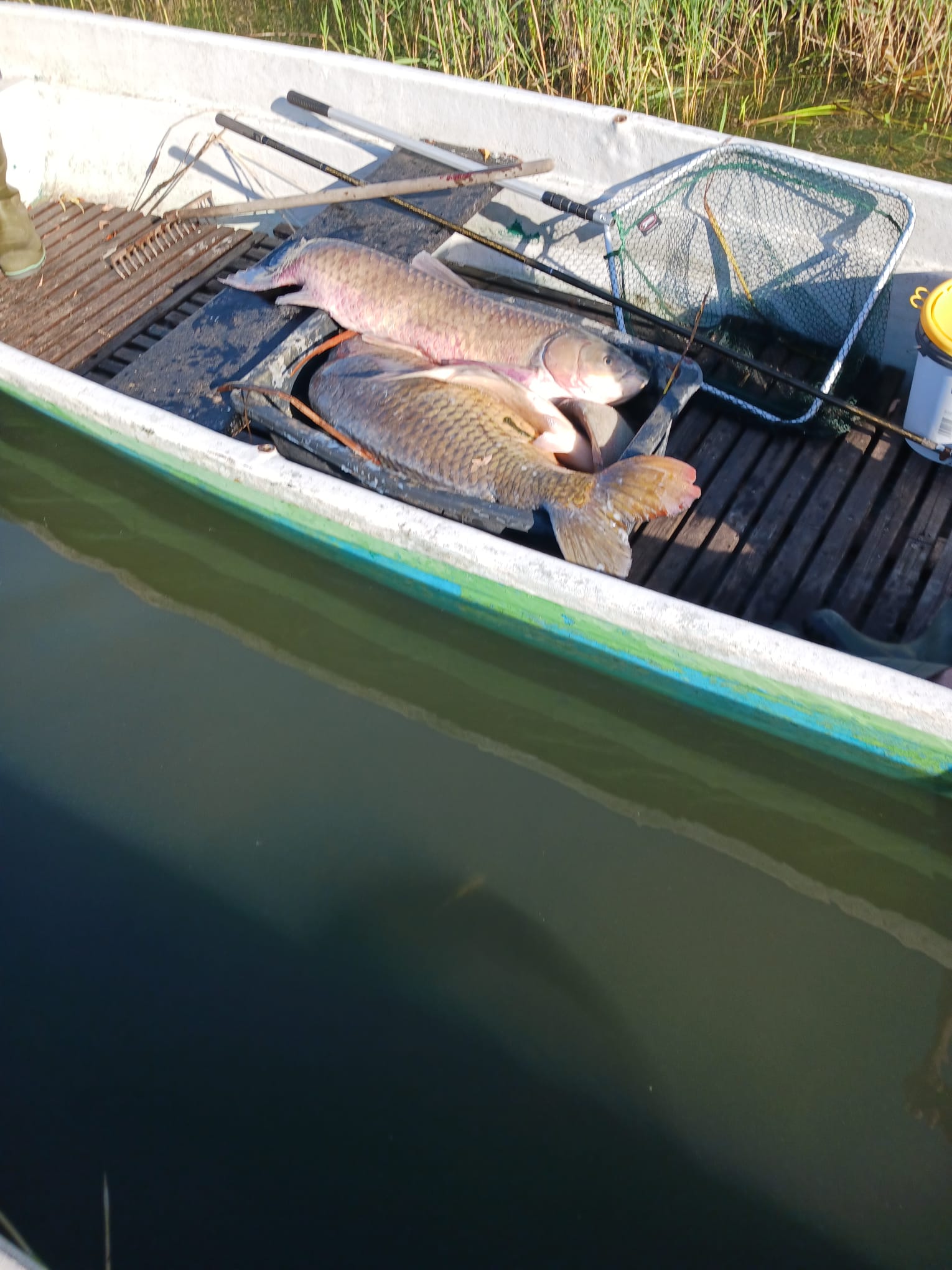 Sauerstoffmangel 2023